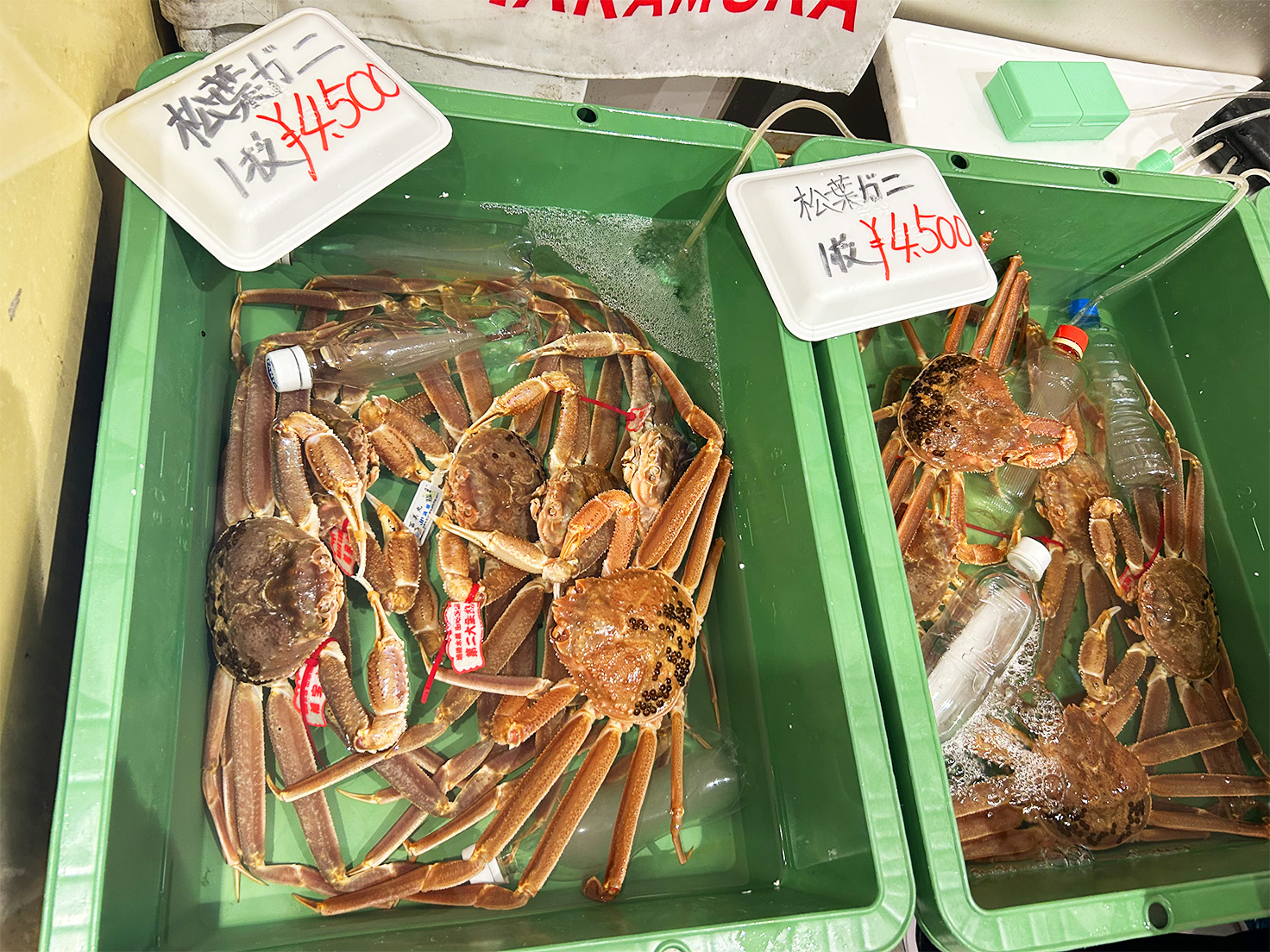 道の駅西いなば気楽里　鮮魚コーナーの松葉ガニ