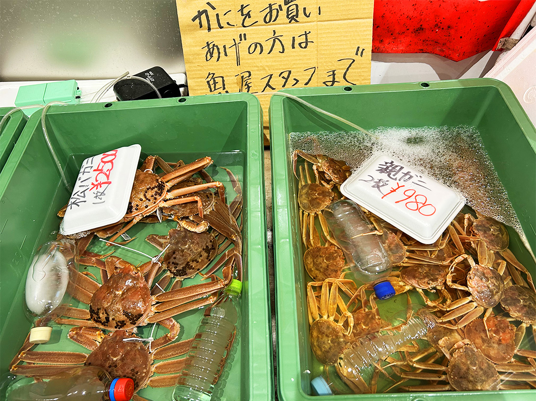 道の駅西いなば気楽里　鮮魚コーナーの松葉ガニ