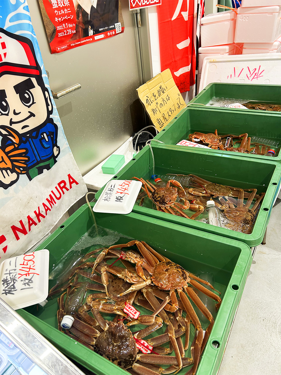 道の駅西いなば気楽里　鮮魚コーナーの松葉ガニ